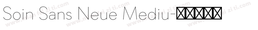 Soin Sans Neue Mediu字体转换
